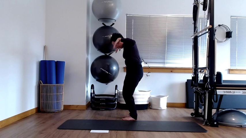 Spine Reset-Standing